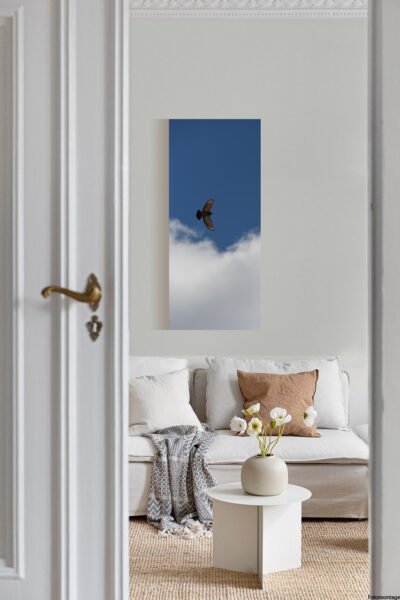 Fliegende Taube #4069 (Leinwandbild) | Flying Dove #4069 (Canvas print)