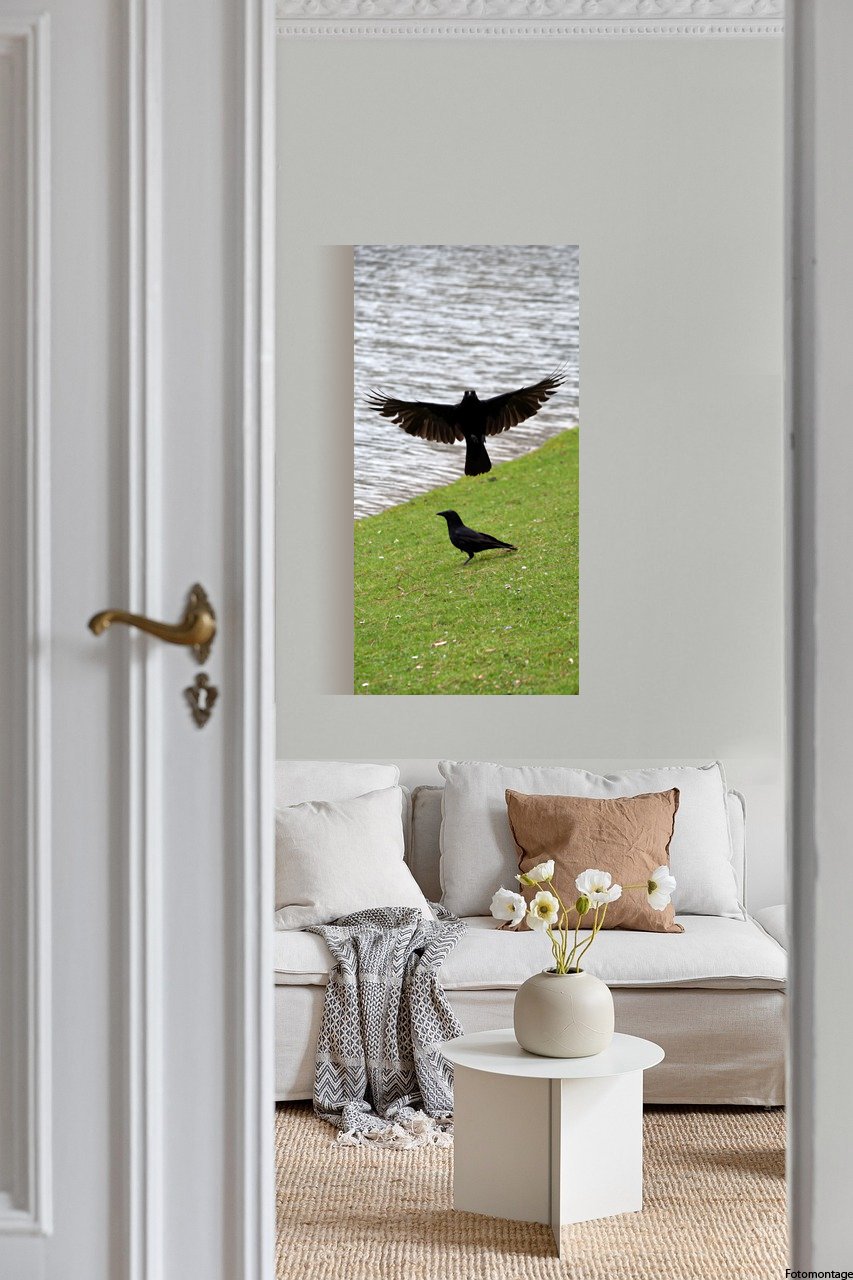 Zwei Krähen am See #4563 (Leinwandbild) | Two Crows at the Lake #4563 (Canvas print)